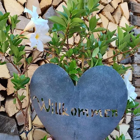 Appartamento Romy Mit 3 Gaestezimmer Bad Ischl