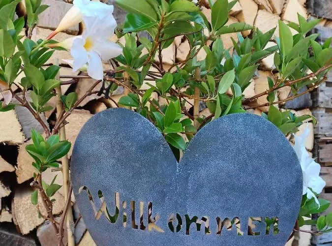 Apartamento Romy Mit 3 Gaestezimmer Bad Ischl